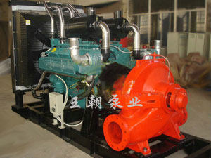 CWY系列船用柴油機應(yīng)急消防泵